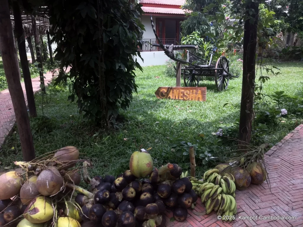 Ganesha Resort in Kampot, Cambodia. Kampot's Top Resorts.