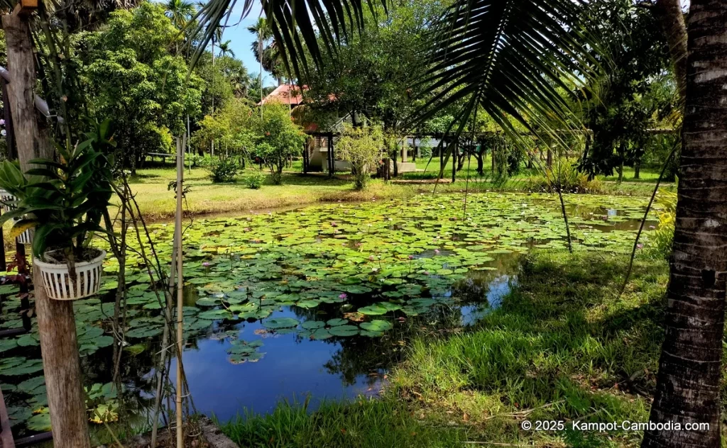 Ganesha Resort in Kampot, Cambodia. Kampot's Top Resorts.