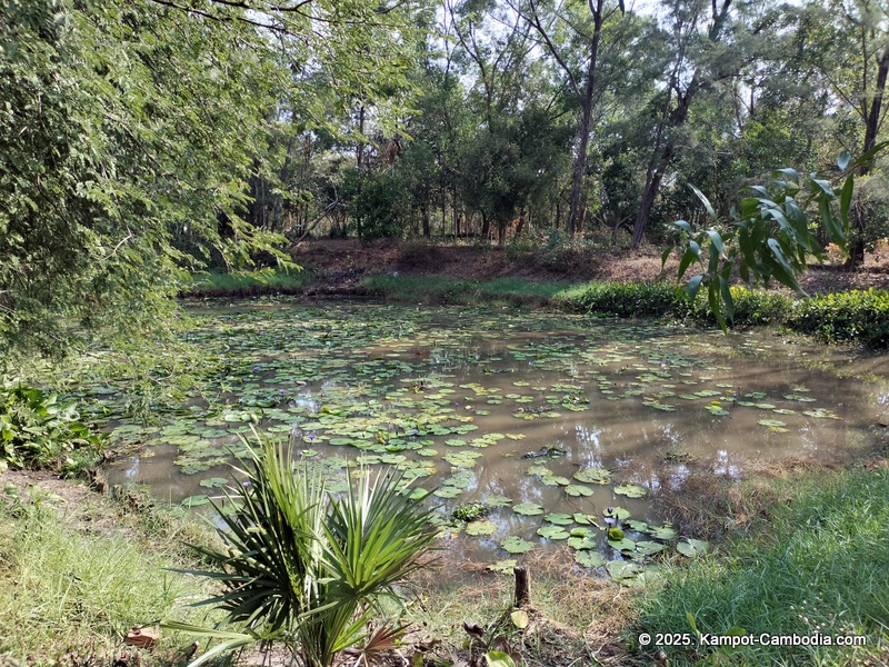 Nataya Resort in Kampot, Cambodia. Kampot's Top Resorts.