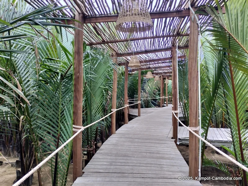RiverTree Villa & Resort in Kampot, Cambodia. Kampot's Top Resorts.